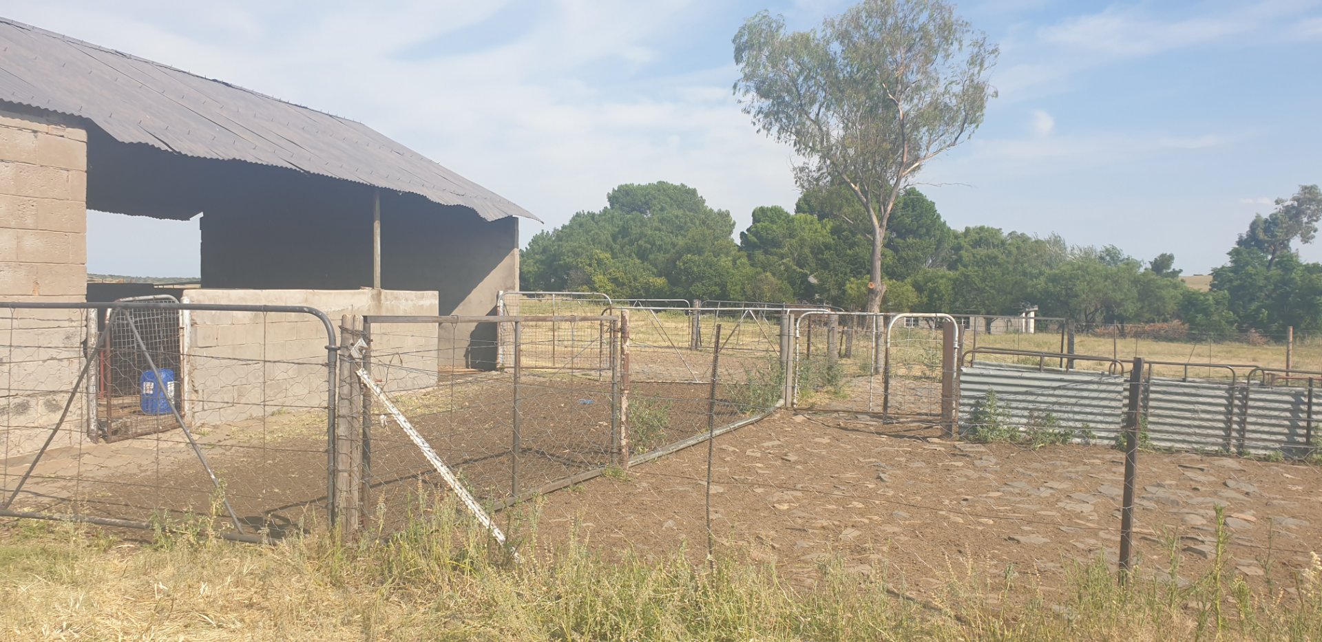  Bedroom Property for Sale in Dewetsdorp Rural Free State